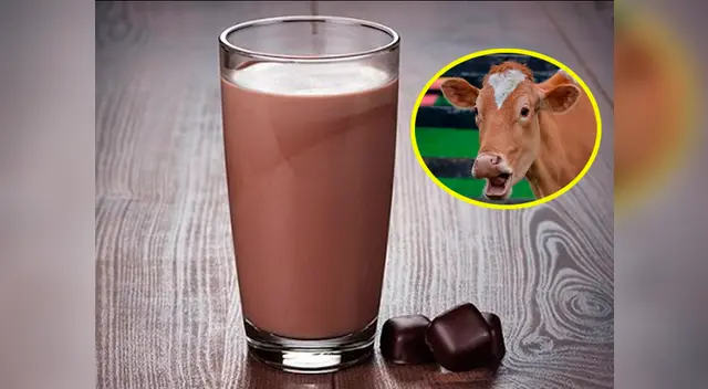 Aunque no lo cree así piensan millones en los Estados Unidos 