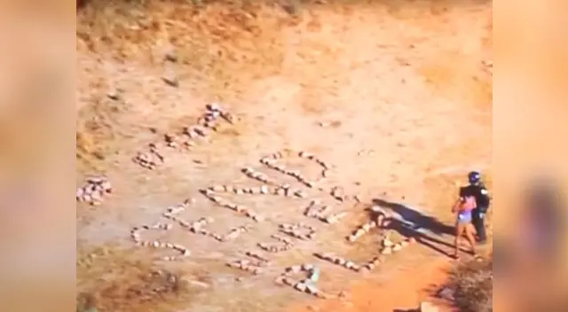 Insólito mensaje de socorro se convirtió rápidamente en viral Insólito mensaje de socorro se convirtió rápidamente en viral