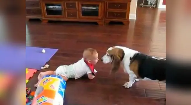 El niño y el bebé enternecieron con su travesura a todo YouTube