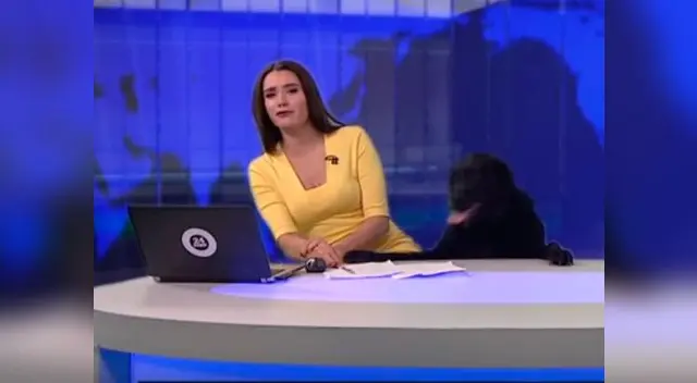 Este inesperado visitante sorprendió a la conductora en pleno programa Este inesperado visitante sorprendió a la conductora en pleno programa