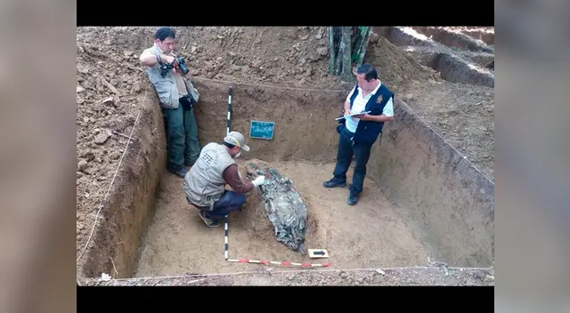 Forenses hallan el cadáver de otra víctima del caso Madre Mía en Huánuco Forenses hallan el cadáver de otra víctima del caso Madre Mía en Huánuco