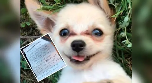 Joven publica desgarradora nota donde explica por qué abandona a su mascota Joven publica desgarradora nota donde explica por qué abandona a su mascota
