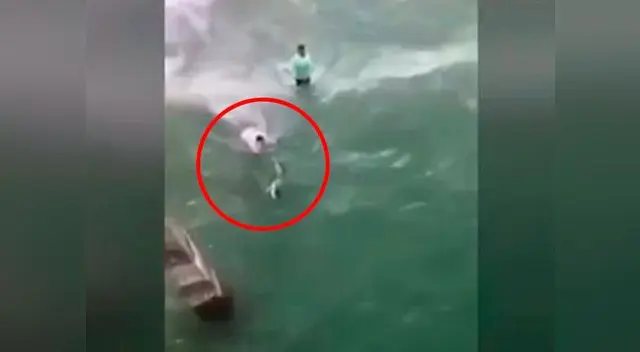 Video muestra precisos instantes de ataque de tiburón a pescador en Estados Unidos