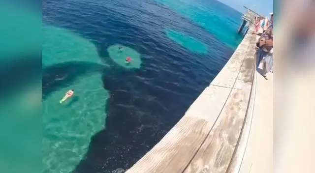 Esta impactante escena ha causado gran revuelo en YouTube Esta impactante escena ha causado gran revuelo en YouTube