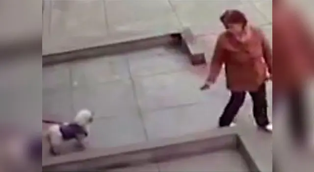 El clip ha indignado a miles de usuarios El clip ha indignado a miles de usuarios