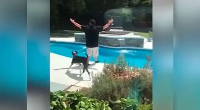 Así reaccionó un hombre al enterarse del sexo de su bebé Así reaccionó un hombre al enterarse del sexo de su bebé