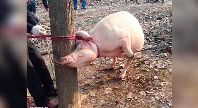 Tragedia se vivió en China en zona rural