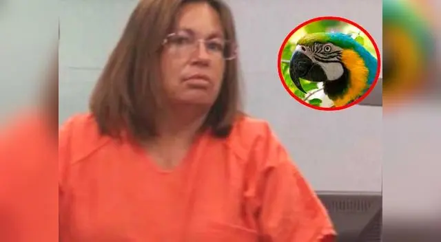 Mujer fue detenida y loro contó que ella asesinó a su esposo