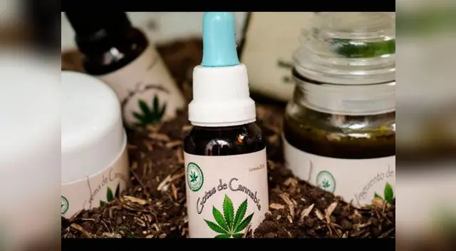 Cedro se mostró a favor de uso medicinal de la marihuana 