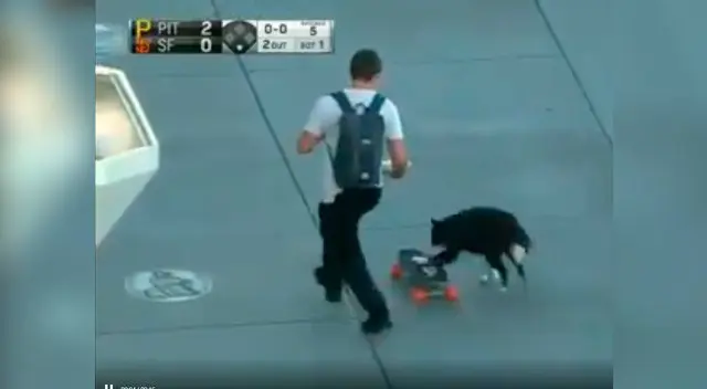 Can sorprendió a todos en Twitter al montar skate Can sorprendió a todos en Twitter al montar skate