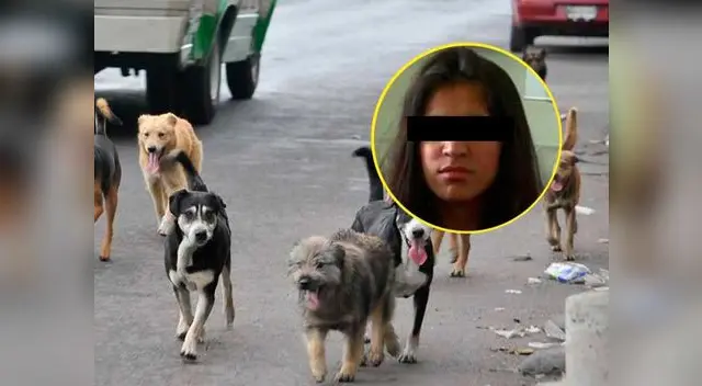 Terrorista de ISIS convirtieron a menor de edad en esclava sexual 