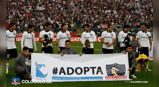 Colo Colo promueve campaña de adopción de mascotas