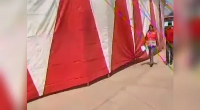 El circo será retirado del centro educativo El circo será retirado del centro educativo