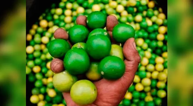 Cítrico y pescado no son accesibles por su alto costo Cítrico y pescado no son accesibles por su alto costo