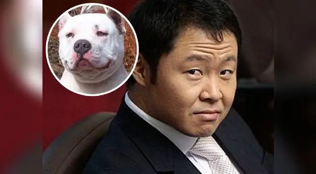 Kenji Fujimori habló sobre el recordado 'Puñete' Kenji Fujimori habló sobre el recordado 'Puñete'