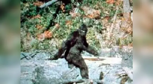 ¿Pie Grande' es uno de los casos paranormales más populares