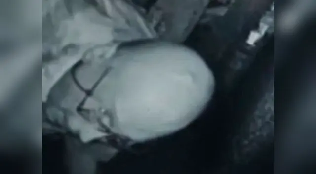 Hombre se llevó la sorpresa de su vida al ver lo que registraron las cámaras de seguridad Hombre se llevó la sorpresa de su vida al ver lo que registraron las cámaras de seguridad