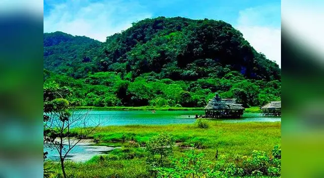 Parque de Tingo María