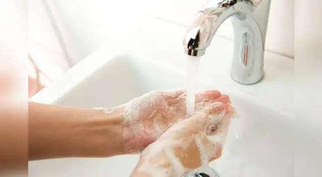 La limpieza es importante para prevenir virus y gérmenes