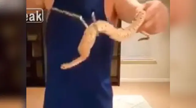 Hombre intento jugar con una víbora venenosa, pero todo salio mal Hombre intento jugar con una víbora venenosa, pero todo salio mal