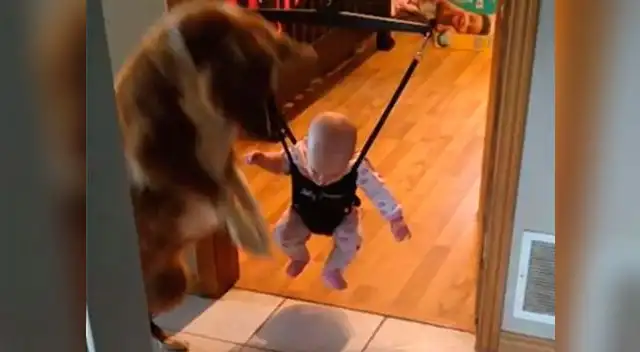 Es lo más tierno que verás en las redes hoy Es lo más tierno que verás en las redes hoy