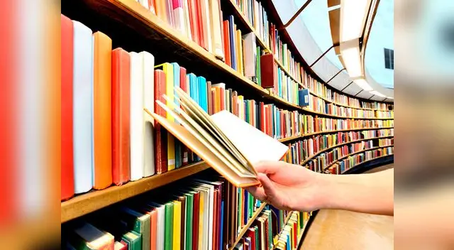 La idea de la madre ha tenido opiniones divididas La idea de la madre ha tenido opiniones divididas