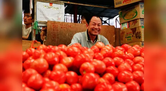 Esto debes hacer para formalizar tu bodega
