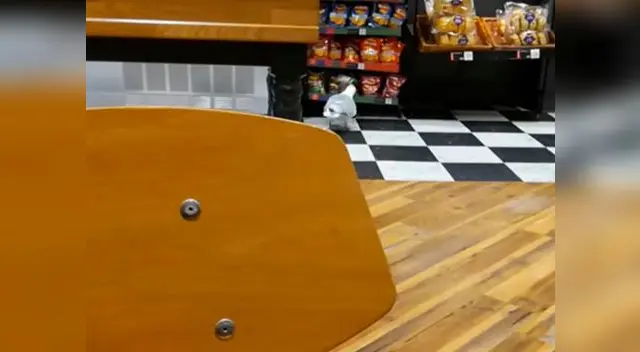 Esta ave se pasó de viva y se robó la comida Esta ave se pasó de viva y se robó la comida