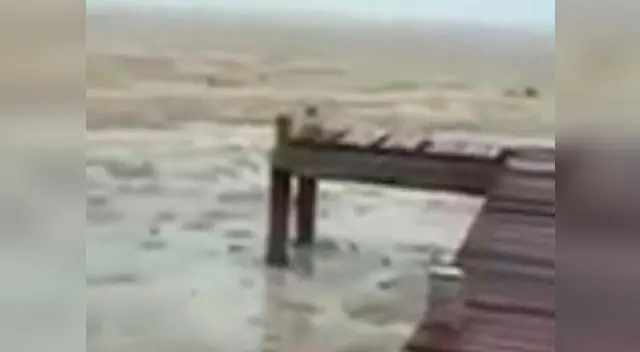 Una playa en Bahamas se quedó sin agua. Una playa en Bahamas se quedó sin agua.