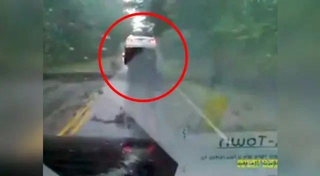 Árbol cae sobre carretera y casi ocasiona una tragedia Árbol cae sobre carretera y casi ocasiona una tragedia