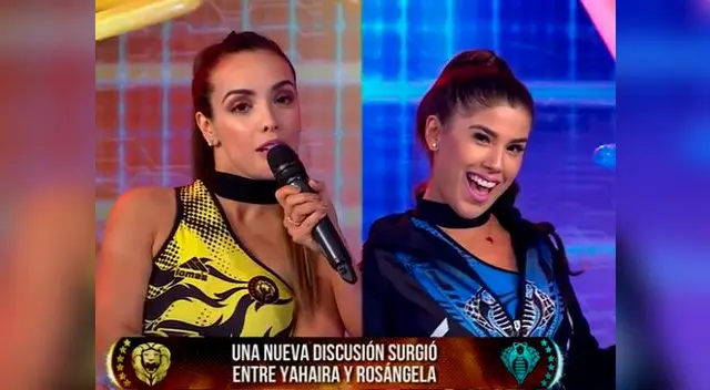 Una nueva pelea se vivió entre ambas guerreras