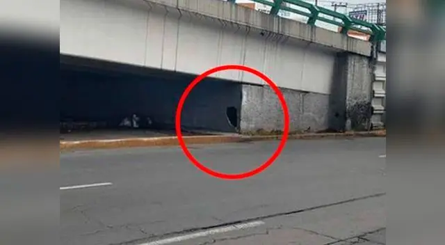 Joven jamás imaginó encontrar esto dentro del agujero Joven jamás imaginó encontrar esto dentro del agujero