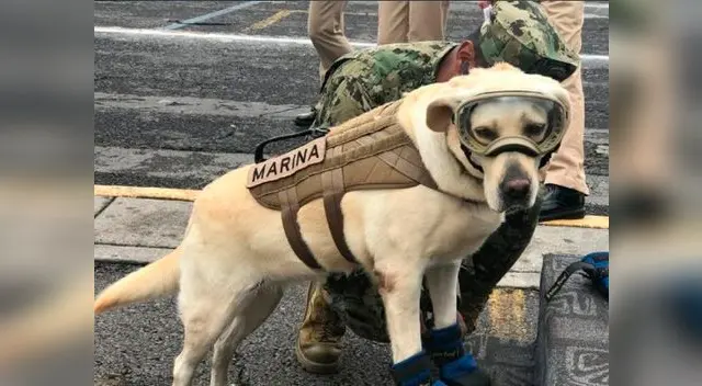 Seis años tiene la heroína de México Seis años tiene la heroína de México
