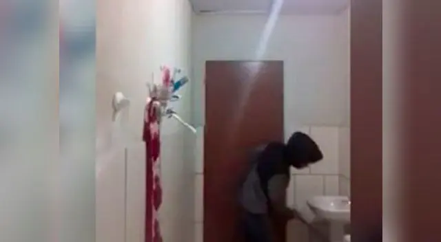 ¿Quién gana entre el gato y un ratón? ¿Quién gana entre el gato y un ratón?