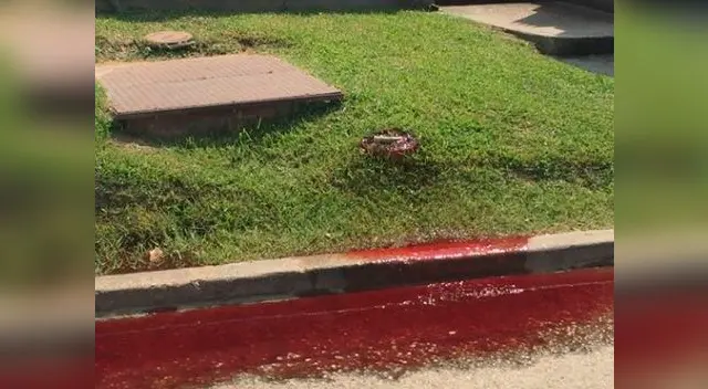 De ese agujero salía el líquido vital De ese agujero salía el líquido vital