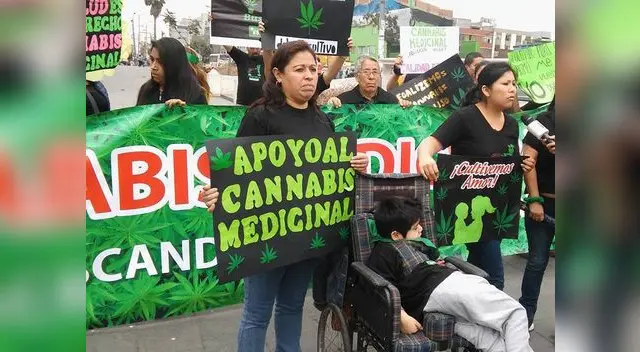 Comunidad que está a favor de la marihuana medicinal saluda medidas del Congreso Comunidad que está a favor de la marihuana medicinal saluda medidas del Congreso