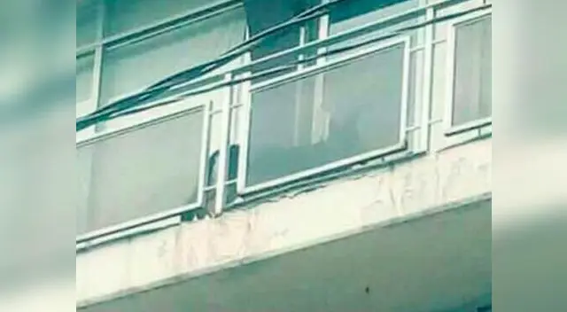 Perrita que quedó atrapada en edificio es rescatada