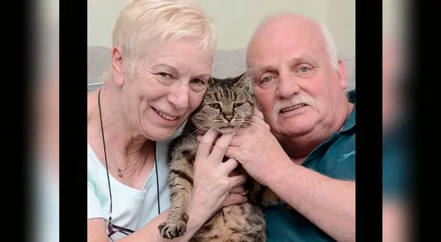 La familia Finlay lo adoptó desde 1990