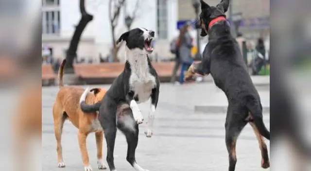 Los vecinos prefirieron grabar al niño en lugar de ayudarlo