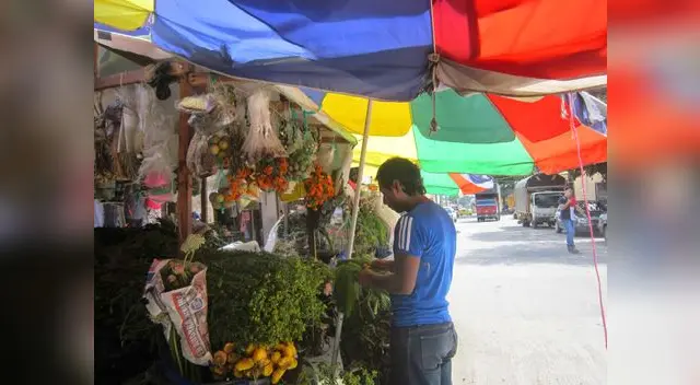 Las plantas medicinales son buenas para la salud