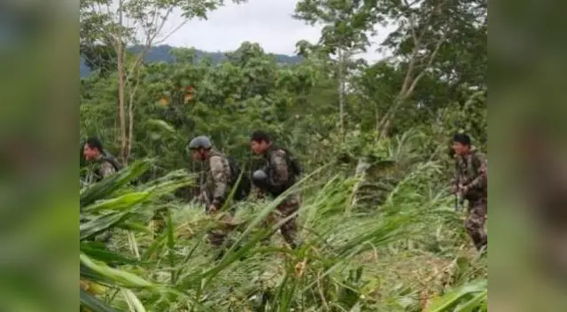 Fuerzas Armadas y policías luchan a diario con el narcotráfico