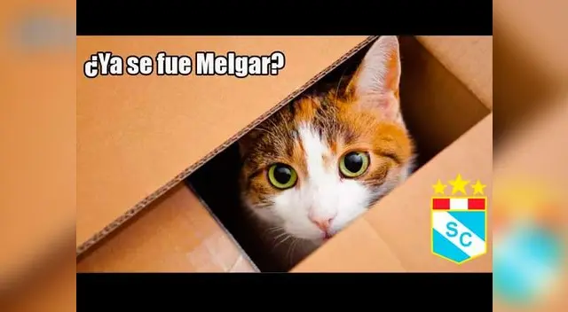 Memes sobre Sporting Cristal