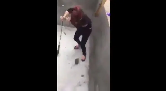 Épica batalla entre una mujer y una rata Épica batalla entre una mujer y una rata