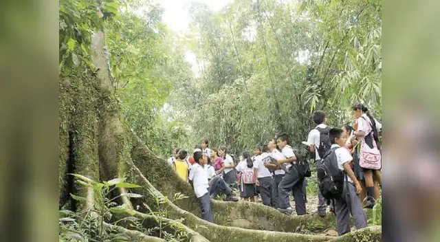A aprender mucho de la Semana Nacional Forestal A aprender mucho de la Semana Nacional Forestal