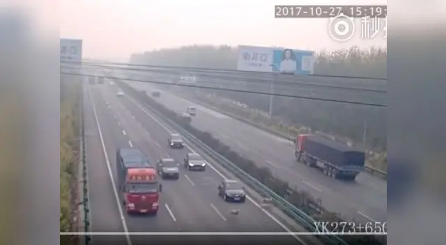 Imágenes de terrible accidente provocado por ovejas han dado la vuelta al mundo Imágenes de terrible accidente provocado por ovejas han dado la vuelta al mundo