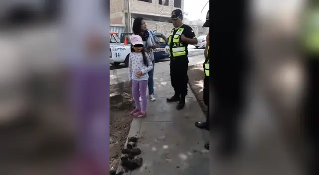 Fuego ocurrió durante la madrugada. Nadie ayudó a los gatos Fuego ocurrió durante la madrugada. Nadie ayudó a los gatos