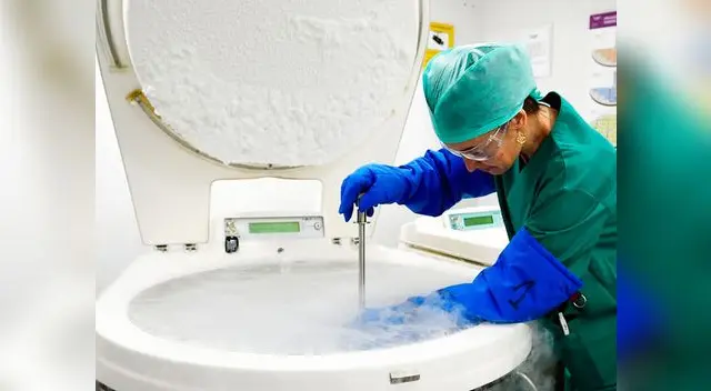 Hospital pierde semen congelado en España Hospital pierde semen congelado en España