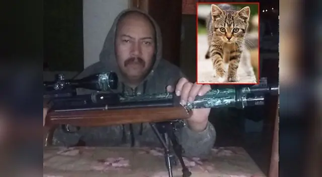 Poder Judicial de Moquegua condenó a Lino Jairton Zeballos Jiménez por matar un gato Poder Judicial de Moquegua condenó a Lino Jairton Zeballos Jiménez por matar un gato