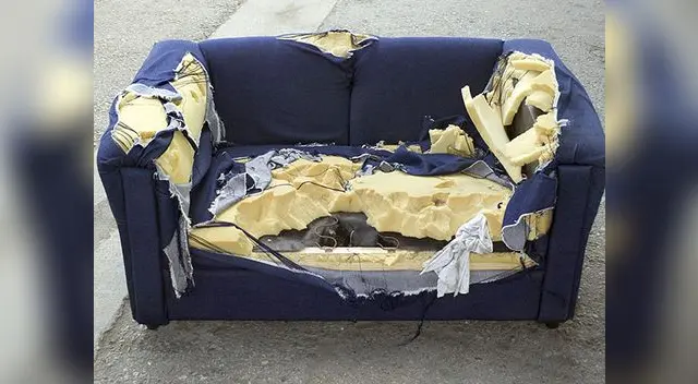 Puedes usar dos colores de tela, para el asiento y otra para el respaldar Puedes usar dos colores de tela, para el asiento y otra para el respaldar