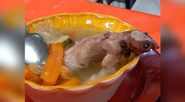 Caldo de rata causa furor en México 